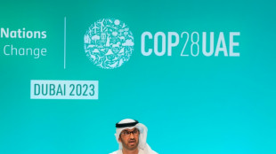La COP28 aprueba el lanzamiento del fondo clim&aacute;tico de da&ntilde;os y p&eacute;rdidas para pa&iacute;ses vulnerables