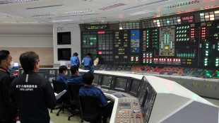 Jap&oacute;n suspende el reinicio de la mayor planta nuclear del mundo tras un incidente