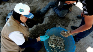 Ranch au Mexique: un centre d'entraînement mais pas d'"extermination" (parquet)