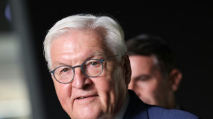 Basketball: Steinmeier und Schenderlein beim EM-Finale