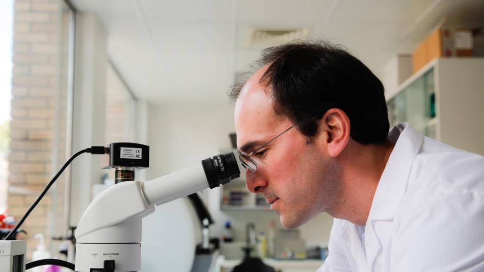 Istituto Pascale,con immunoterapia cala mortalità tumore polmone