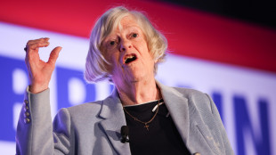 Uccisione di lady Brexit, 'massacrata con 21 colpi di martello alla testa'