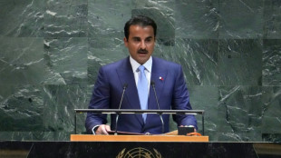 Catar dice en la ONU que continuará sus esfuerzos para lograr una tregua en Gaza