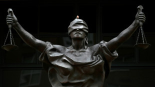 "Ringo" ou "George"? Un membre pr&eacute;sum&eacute; des cruels "Beatles" de l'EI face &agrave; la justice am&eacute;ricaine 