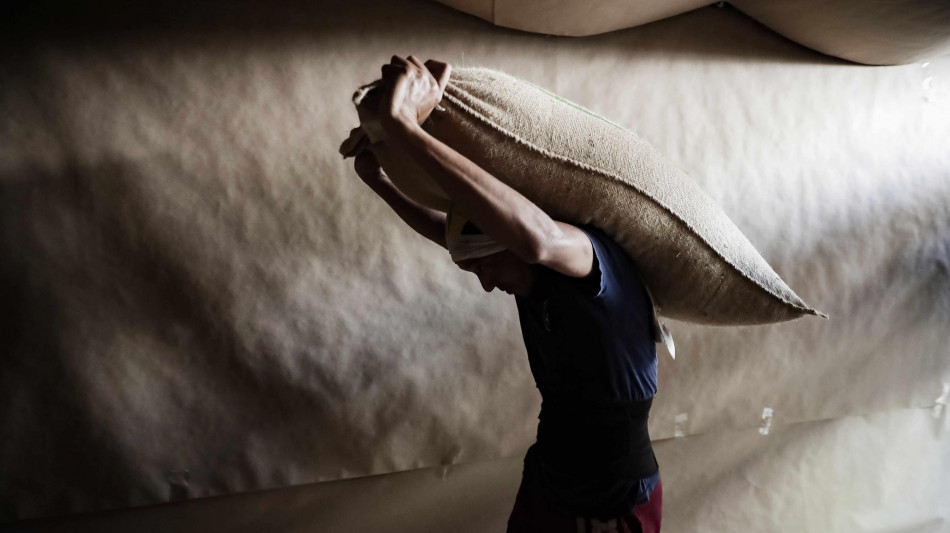 Volano quotazioni del caff&egrave;, Robusta in 6 mesi +90%