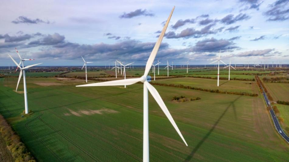 Un balisage ciblé des éoliennes peut protéger les chauves-souris