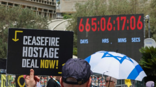 L'&eacute;missaire am&eacute;ricain rencontre des proches d'otages &agrave; Tel-Aviv