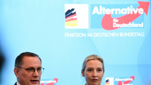 AfD und BSW offen f&uuml;r Gespr&auml;che auch auf Bundesebene