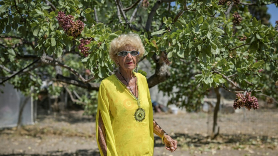 'Last generation': Greek island's fading pistachio tradition