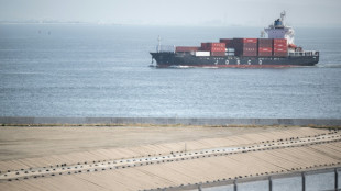 Tokyo's tariff envoy says US talks 'constructive'