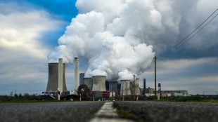 El mundo podr&iacute;a superar umbral de calentamiento de 1,5 &ordm;C en 7 a&ntilde;os, advierte estudio