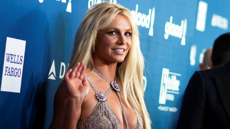 Britney Spears admits to reckless driving in plea deal