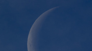 Campionati Italiani di Astronomia,90 finalisti pronti a sfidarsi