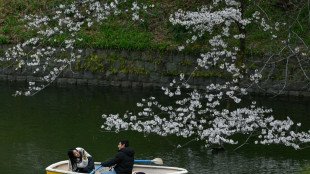 'Perfect Japan' posts spark Gen Z social media backlash