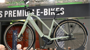 Deutlicher Absatzr&uuml;ckgang der Fahrradbranche - Preise 2024 sp&uuml;rbar gesunken