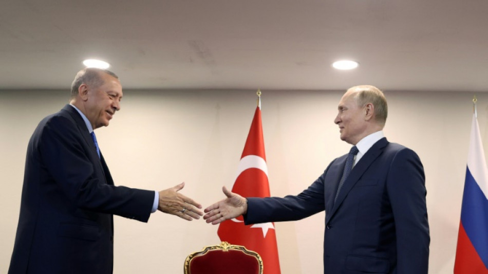 T&uuml;rkischer Pr&auml;sident Erdogan reist zu Putin nach Sotschi