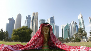 WM in Katar: "Demokratisierung der Sportverb&auml;nde &uuml;berf&auml;llig"