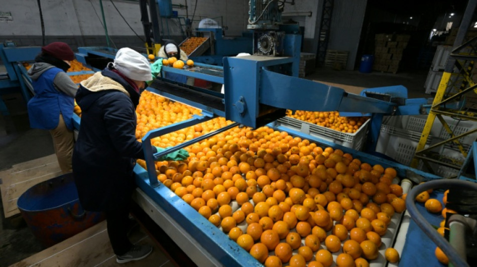 Produtores rurais mantêm apoio a Milei, mas cobram mais reformas