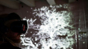 Con el metaverso tambi&eacute;n lleg&oacute; el acoso sexual