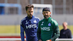 Muslic: Platzsturm ein "No-Go" - Dzeko zur&uuml;ck im Kader