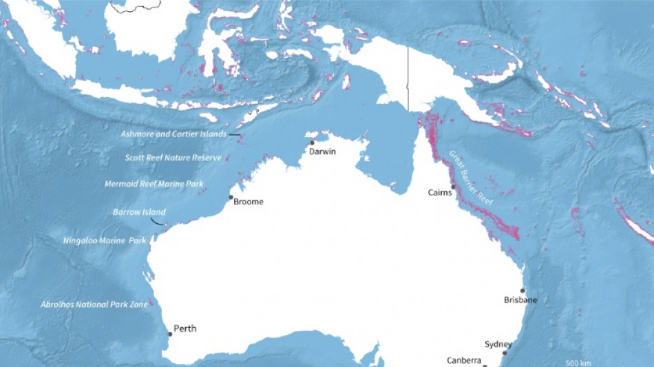 'Shocking' mass bleaching drains life from Australian reef