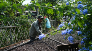 Chinese tea hub branches into coffee as tastes change