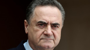 Katz risponde a Erdogan, 'ricordati come &egrave; finito Saddam'