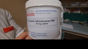 Pancreatite curata con i cannabinoidi, a Bari primo caso-studio