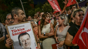 Freispruch für bei Protesten in der Türkei festgenommene Fotojournalisten