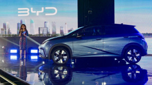 Droits de douane et taxe carbone, des barrières aux négociations de la COP30