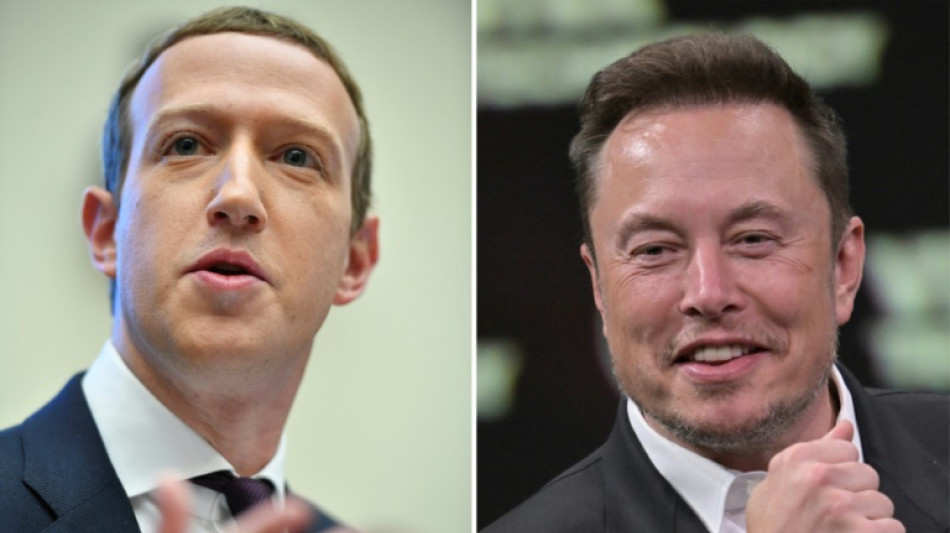 Musk dice que su "pelea" contra Zuckerberg tendr&aacute; lugar en Italia