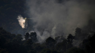 Climat: vers une année record d'incendies en Europe?