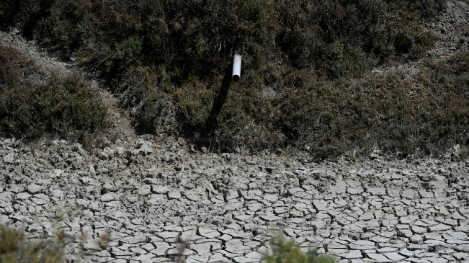 L'Espagne doit s'attendre &agrave; des s&eacute;cheresses de plus en plus "fr&eacute;quentes et graves", alerte un rapport