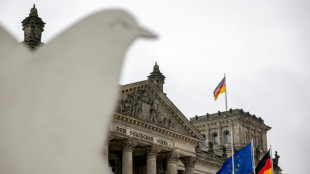 "Fragw&uuml;rdig" und "unseri&ouml;s": Deutsche Au&szlig;enpolitiker lehnen Trumps "Friedensrat" ab