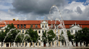 Sachsen-Anhalt: Weniger als die Hälfte laut Studie gefestigte Demokraten