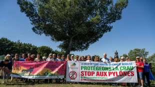 Manifestation en Camargue de collectifs oppos&eacute;s au projet de THT a&eacute;rienne