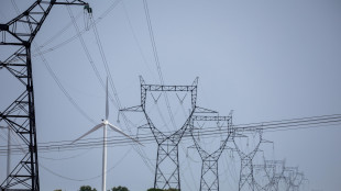 Gme, prosegue rialzo prezzo dell'elettricit&agrave; a 147,5 euro al Mwh