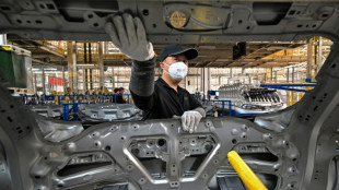 Internationale Energieagentur geht von weiter stark steigenden E-Auto-Zahlen aus