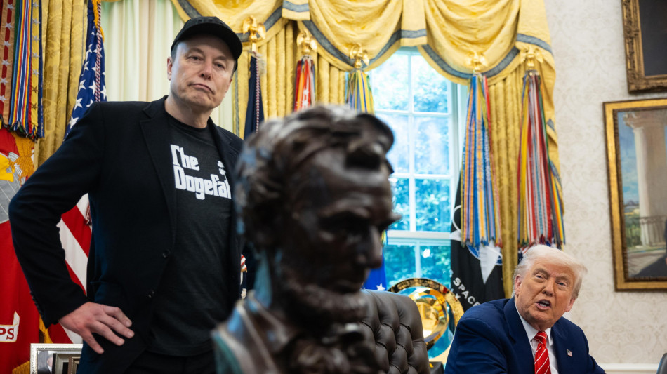 Media, anche Elon Musk e il fratello nei '100 nomi' di Epstein