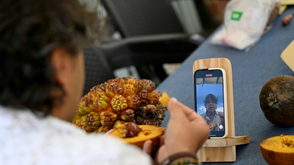 Colombie: un r&eacute;seau de partage pour sauver les fruits en danger d'extinction