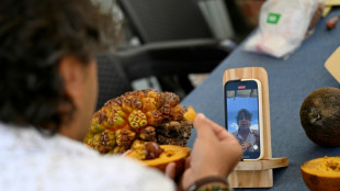 Colombie: un r&eacute;seau de partage pour sauver les fruits en danger d'extinction