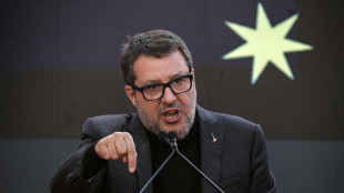 Salvini 'Milan-Como a Perth? E' una fesseria'