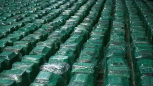 Confirman la incautaci&oacute;n r&eacute;cord en Espa&ntilde;a de 30 toneladas de coca&iacute;na