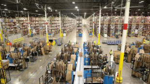 Le march&eacute; des entrep&ocirc;ts s'enflamme, dop&eacute; par la pand&eacute;mie et le commerce en ligne