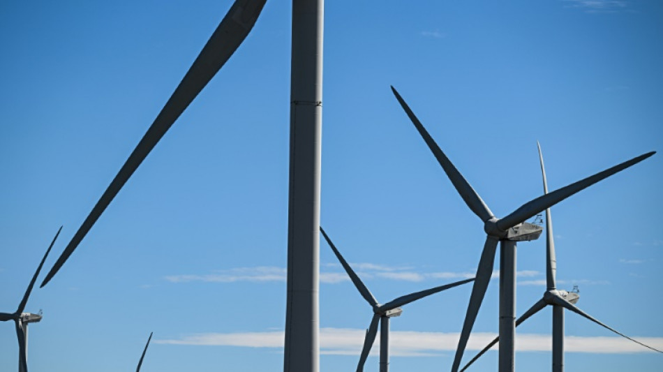 Pour protéger les oiseaux, la justice met à l'arrêt un deuxième parc éolien en trois jours