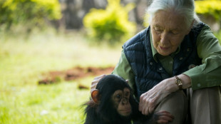 El último deseo de Jane Goodall: mandar a Trump, Musk, Putin, Xi y Netanyahu al espacio