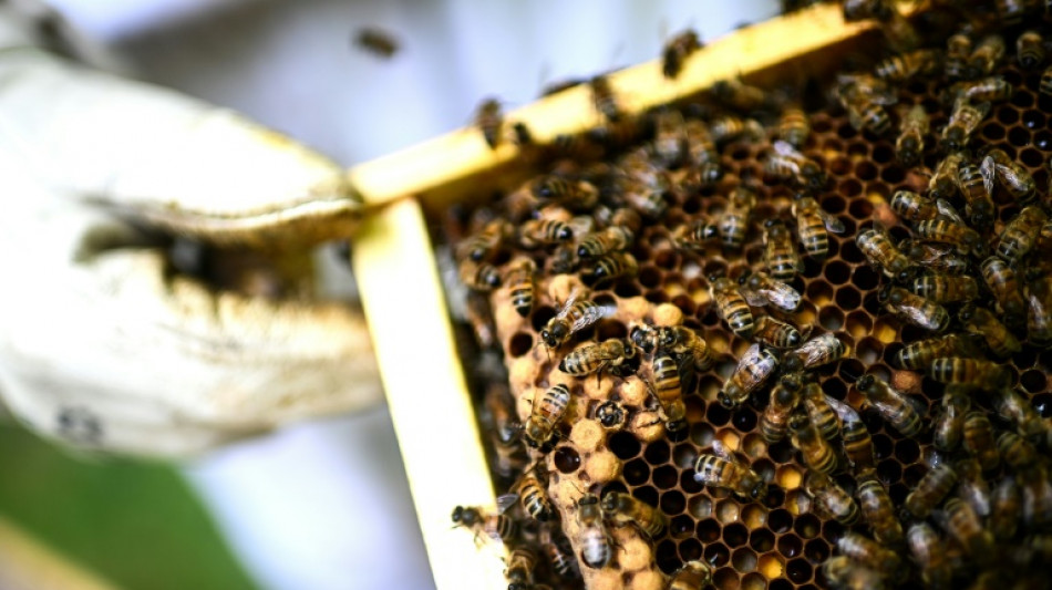 &Uuml;ber 600.000 Unterschriften f&uuml;r Petition in Frankreich gegen Wiedereinf&uuml;hrung von Pestizid