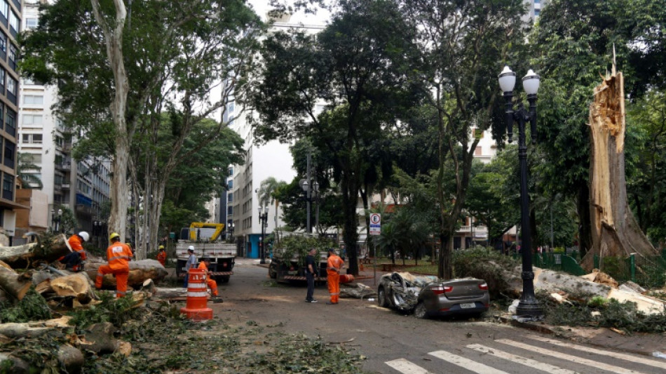 De la bruine aux tempêtes: la mégalopole Sao Paulo chamboulée par le changement climatique
