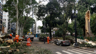 De la bruine aux tempêtes: la mégalopole Sao Paulo chamboulée par le changement climatique