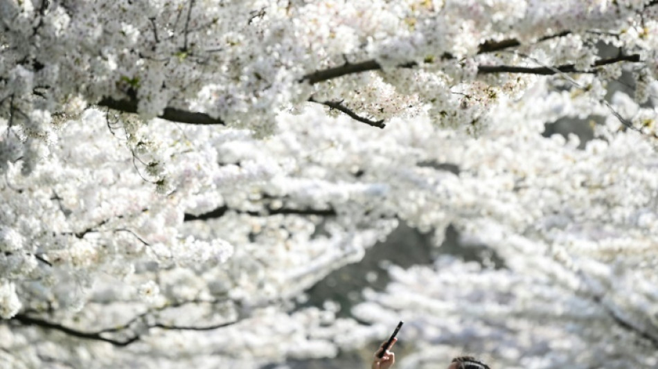 Roaming-Geb&uuml;hren in der EU bleiben bis 2032 ausgesetzt